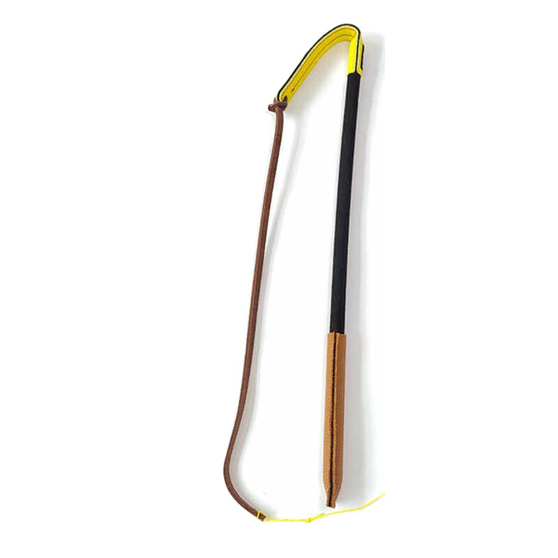 Training Dog Whip Leather Trai - Leatherwork Training review and price